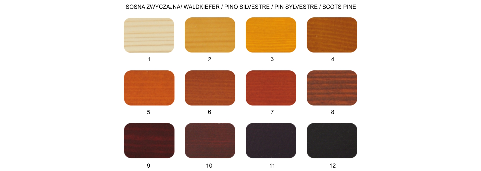 colors of pine wood windows