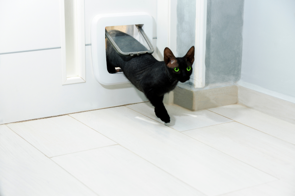 Functional front door with dog or cat flap